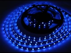 DC12V digitale dubbele signaallijn IP65 WS2815 SMD5050 96Pixel RGBICAaddressable Led Strip
