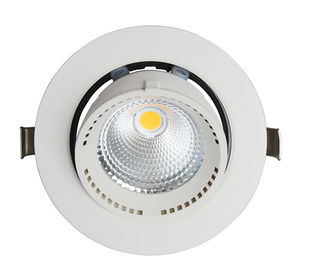 40 Wattsgimbal Koele Witte LEIDEN Plafond Downlights met Hoge Verlichtingsefficiency